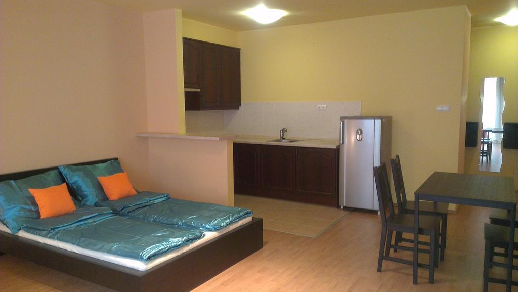 Apartman 4 You Wellness ブダペスト 部屋 写真